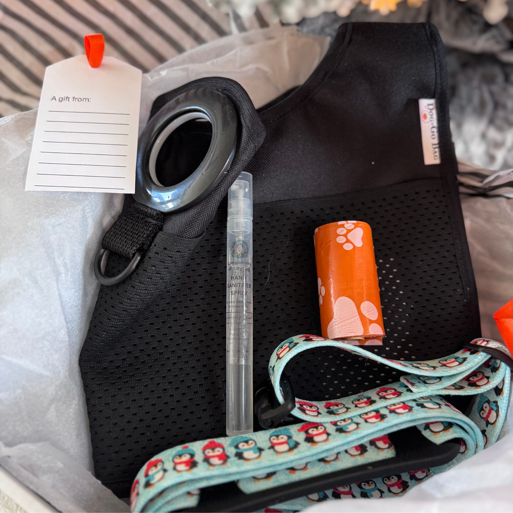 Dog-Go Bag Leash Tote Winter Walk Bundle – Switch Edition