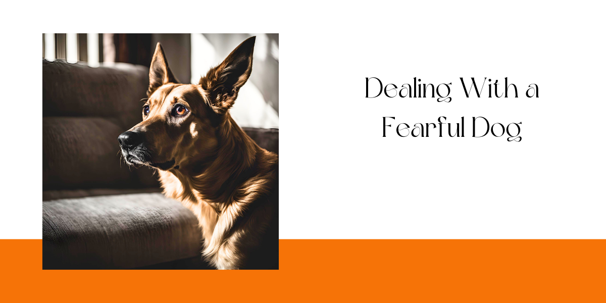 Dealing With A Fearful Dog