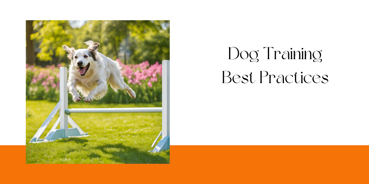 Dog Training Best Practices