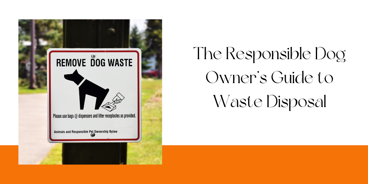 The Responsible Dog Owner's Guide to Waste Disposal