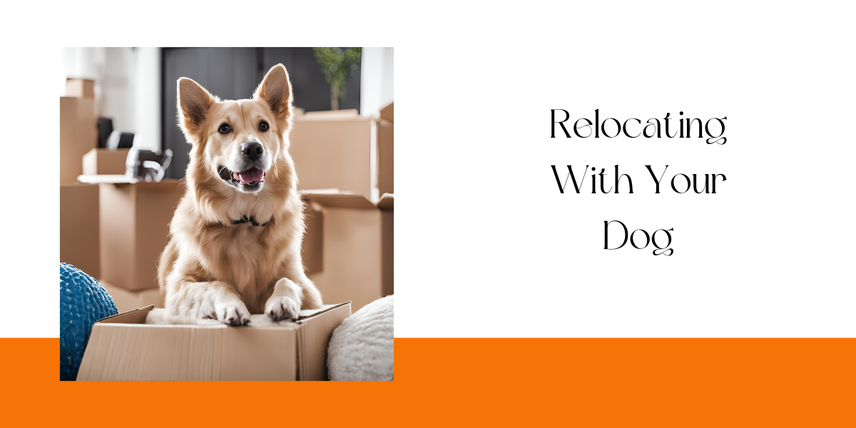 Relocating with your Dog