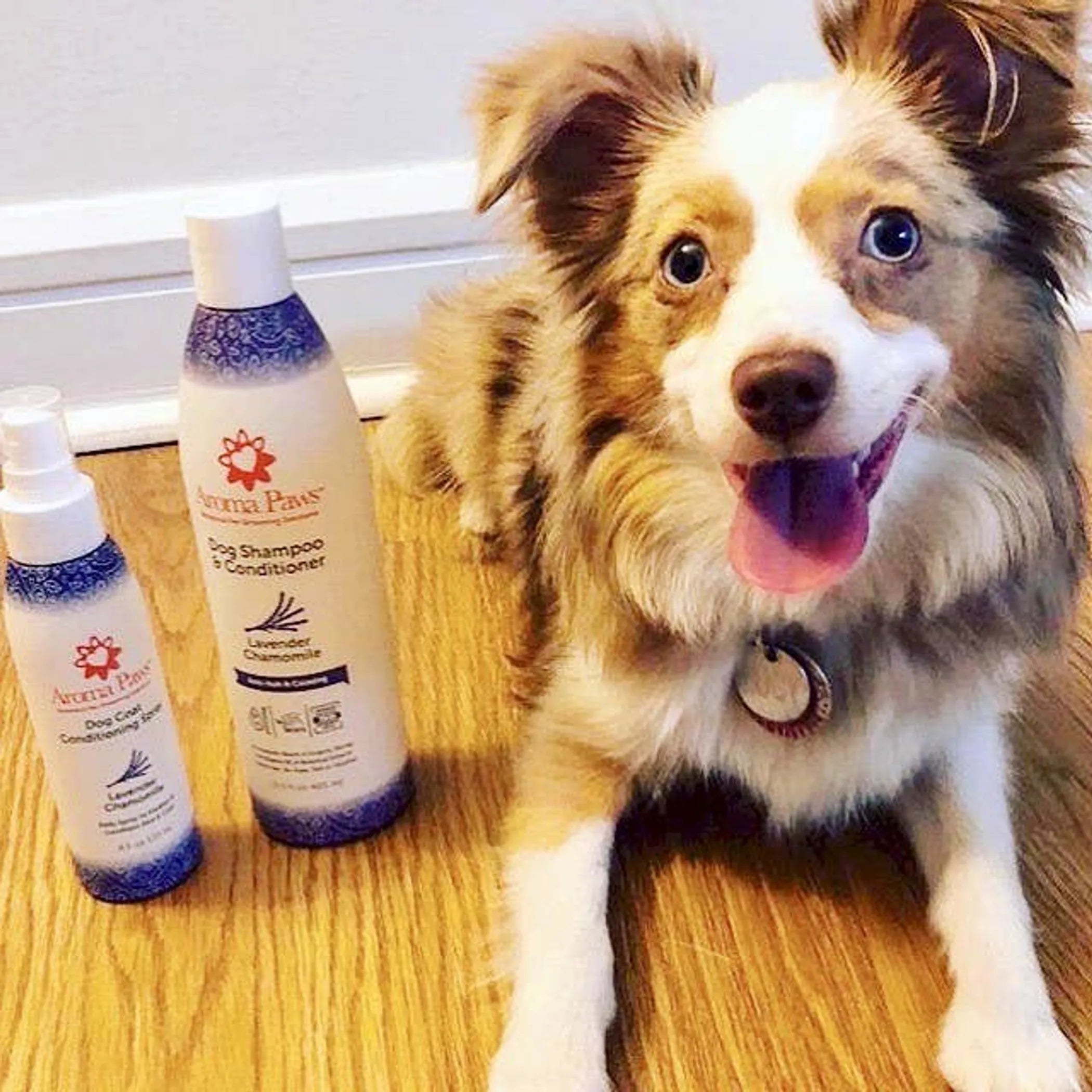 Care & Grooming