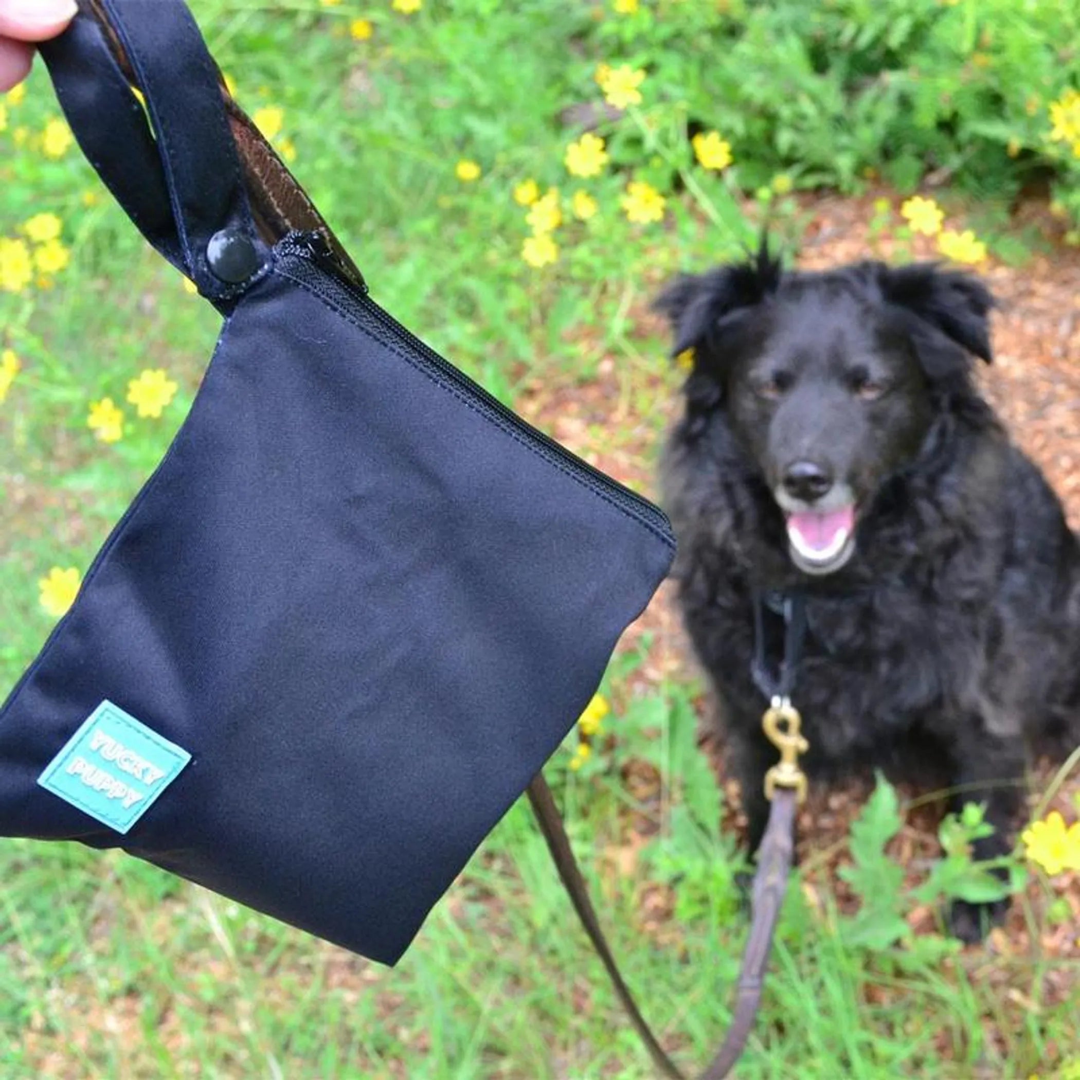  Dog Waste & Waste Bag Holders