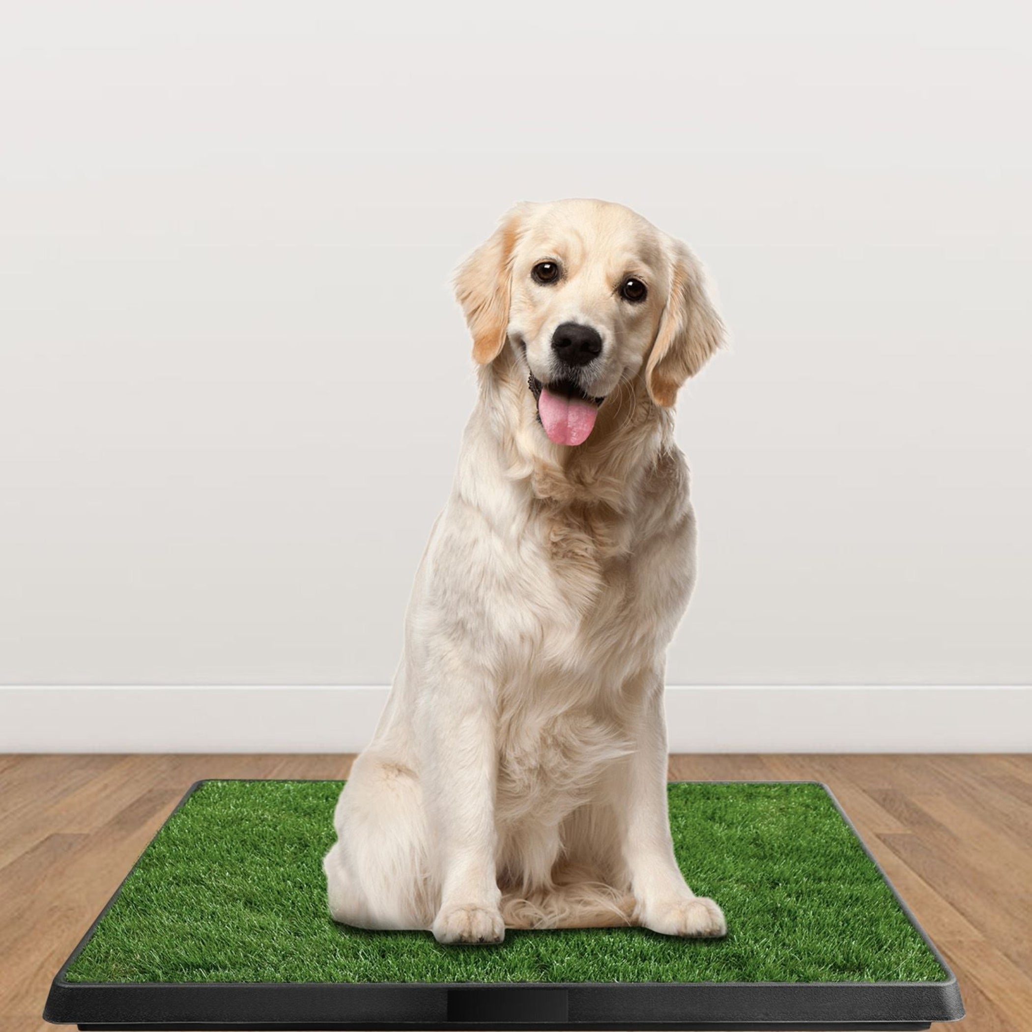 artificial turf dog potty