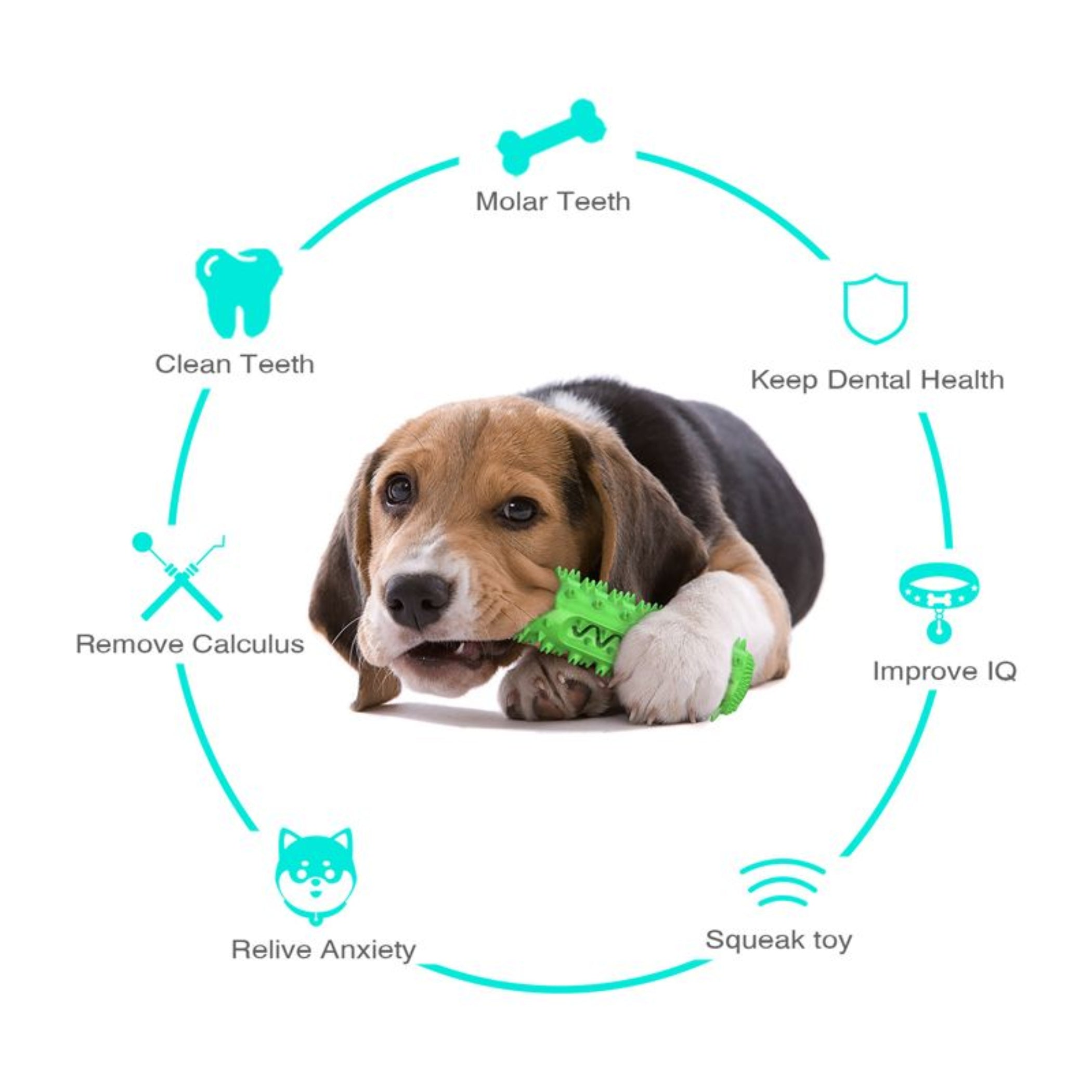 Dog Tooth Brushing Chew Toy