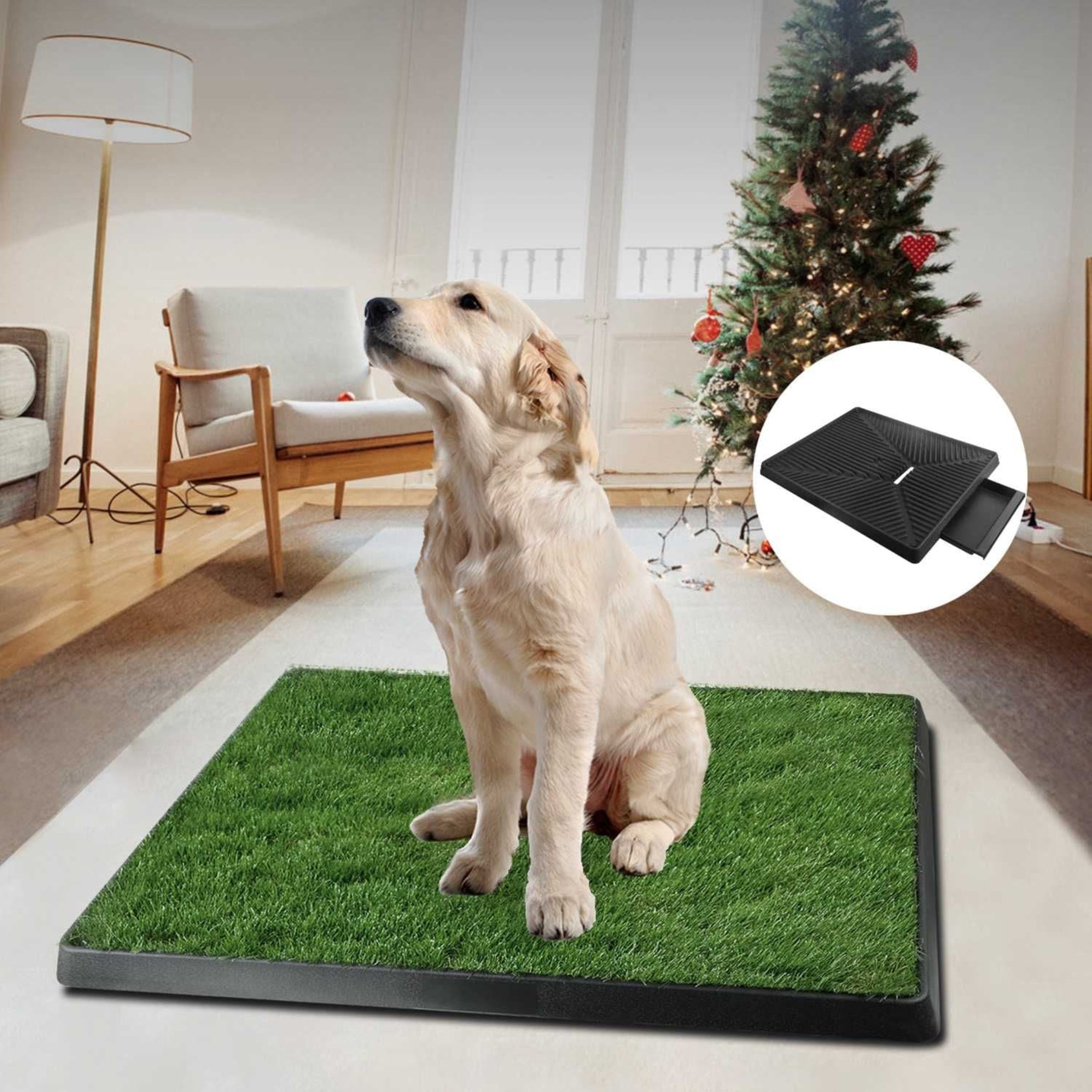 artificial turf dog potty