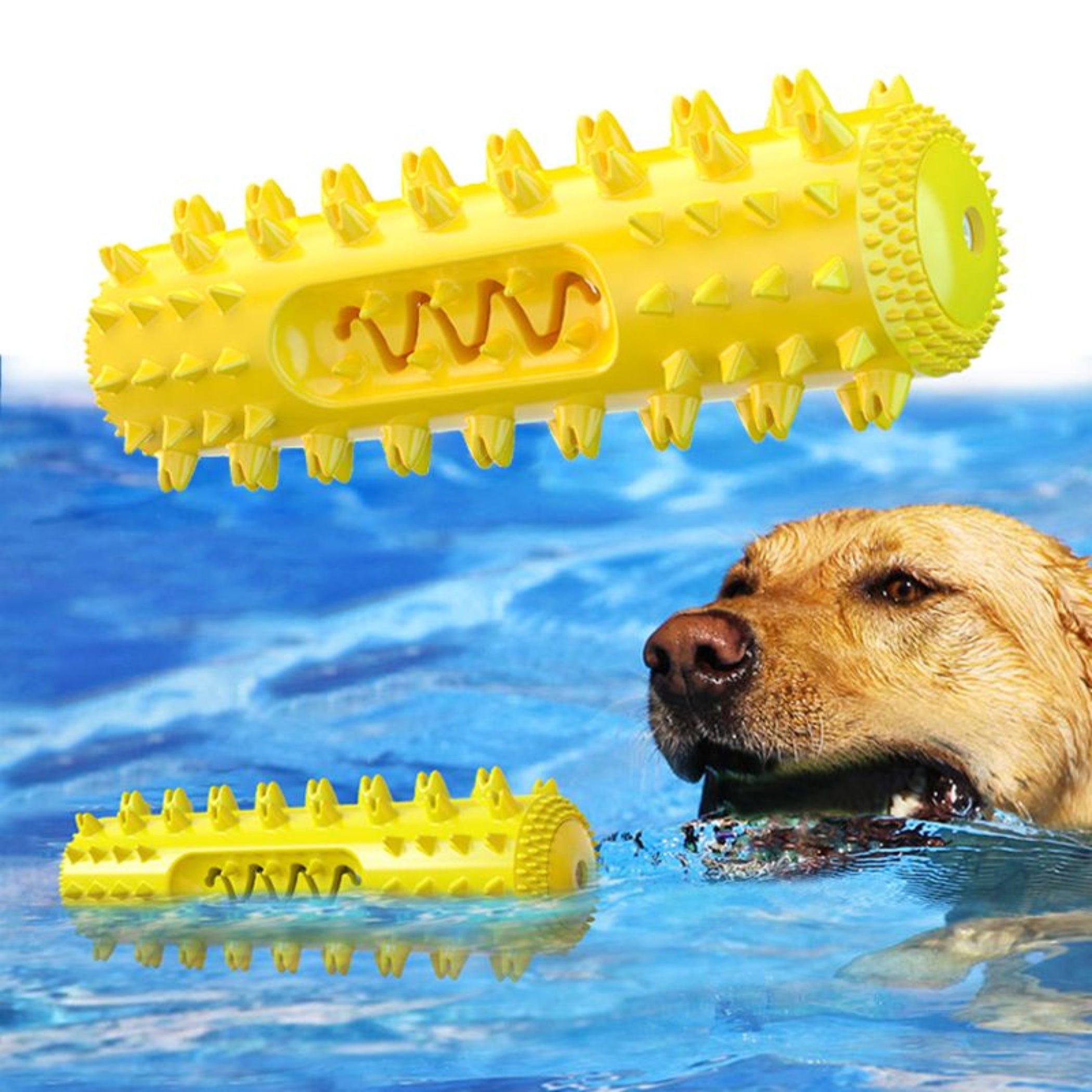 Dog Tooth Brushing Chew Toy