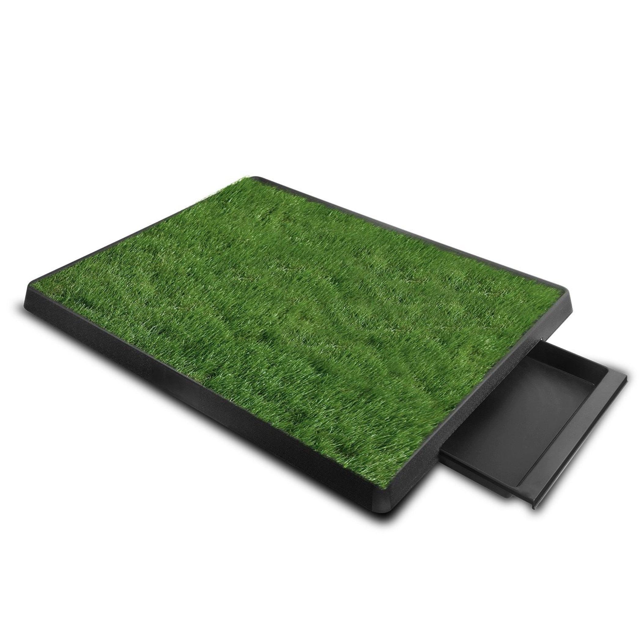 artificial turf dog potty