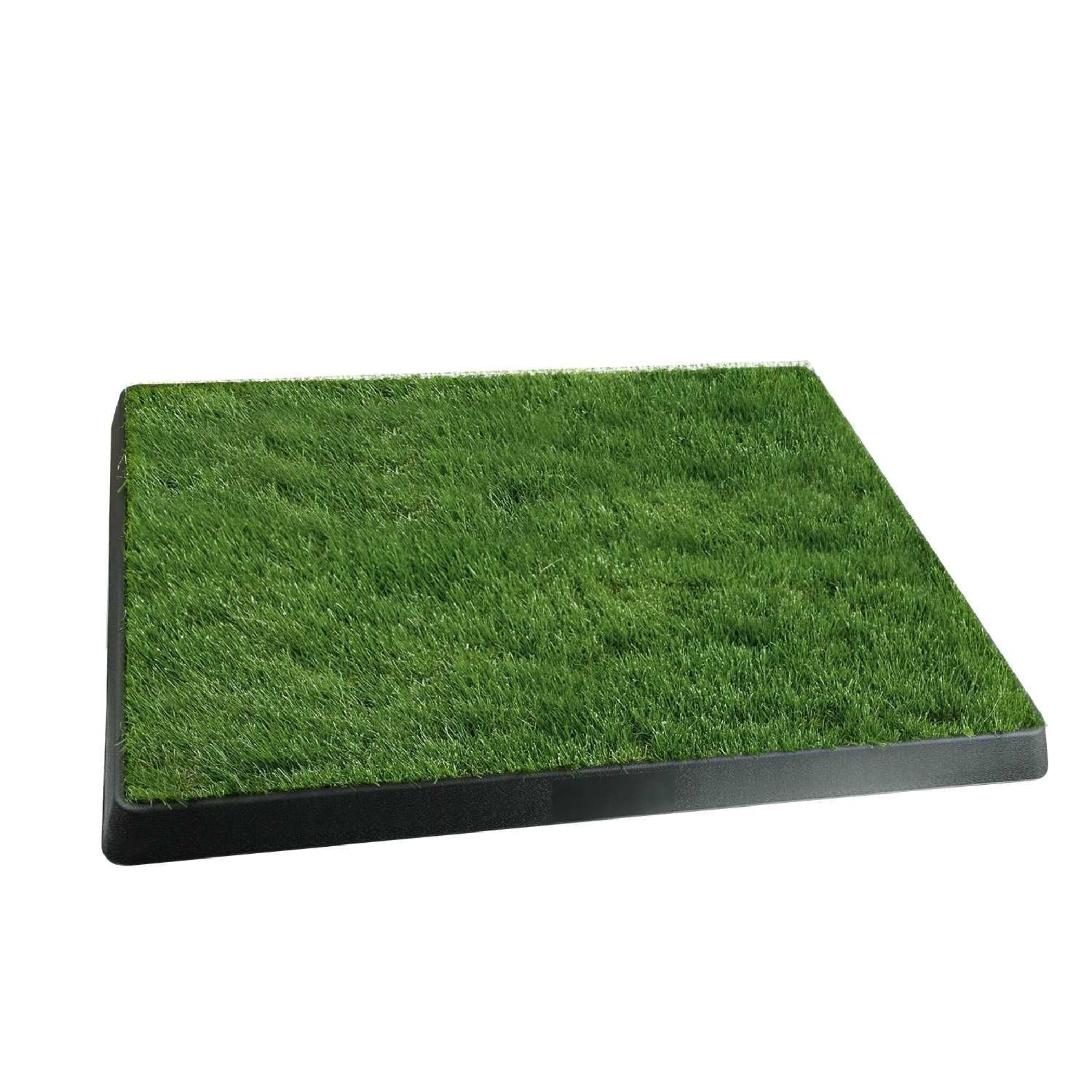 artificial turf dog potty
